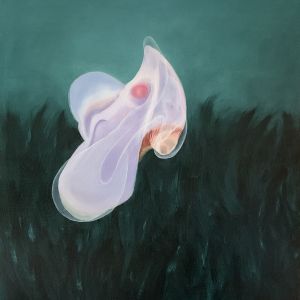 Deepstaria 2 (80x105)