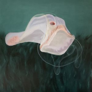Deepstaria 6  (80x105)